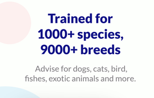 Petvise AI screenshot 1
