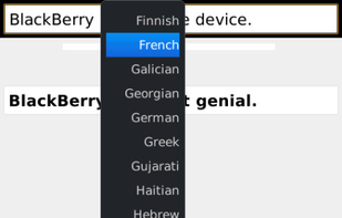 iTranslator screenshot 2
