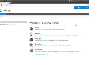 Liferay Portal screenshot 1
