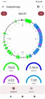 Gadgetbridge screenshot 1