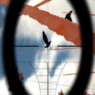 3d-BirdsShooting icon