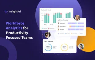 Insightful screenshot 1