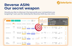 SellerSprite screenshot 2