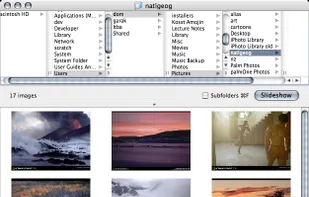 Phoenix Slides screenshot 1