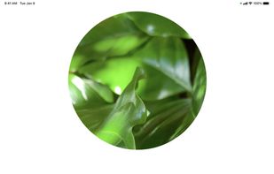 Plant Light Meter screenshot 2