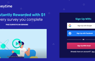 Surveytime screenshot 1