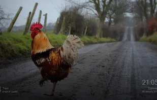 Photo Gallery and Screensaver screenshot 1