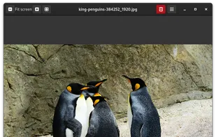 Image Roll screenshot 1