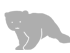 Bear File Converter icon