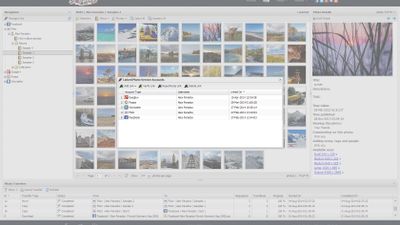 Managing links to photo service accounts