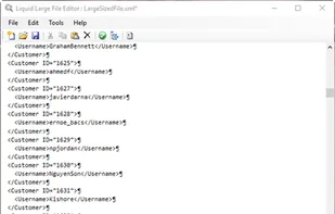 Large File Editor screenshot 1