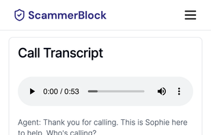 Call transcripts