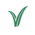 VCFY icon
