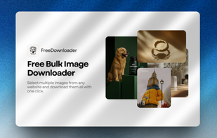 Free Image Bulk Downloader screenshot 1