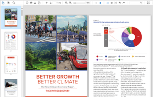 ASP.NET Document Viewer