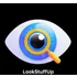 LookStuffUp icon