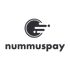 Nummuspay.com icon