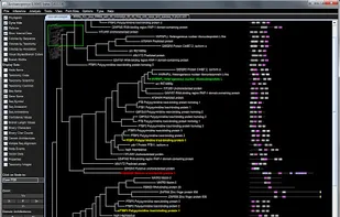 Archaeopteryx screenshot 1