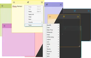 Pinny Notes screenshot 1