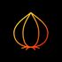 Onion Cam2 icon
