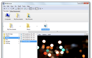 WinBrowser screenshot 3
