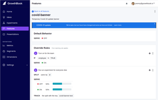 A feature flag with complex targeting and override rules.