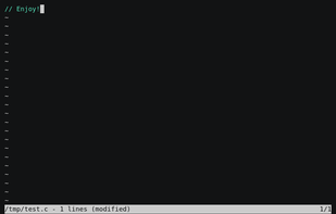 Kilo Text Editor screenshot 2
