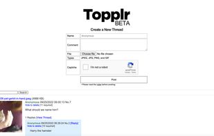 Topplr screenshot 1