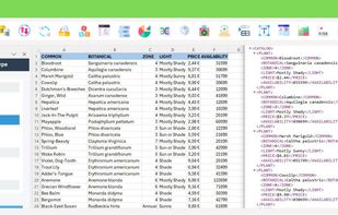 Database Connection
