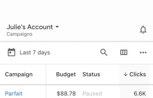 Google Ads screenshot 2