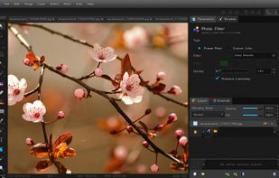 Bloom Image Editor screenshot 2