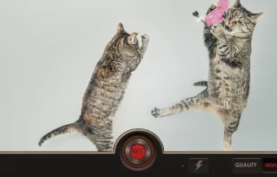 Slow Motion Video FX screenshot 3