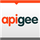 Apigee Icon