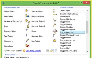 Main Screen