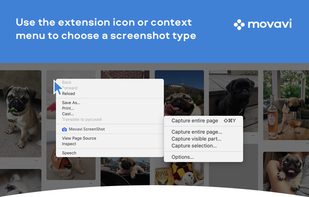 Movavi Screenshot screenshot 1