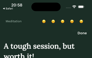 Encrypted, secure meditation journal