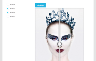 Easy Revision Compare