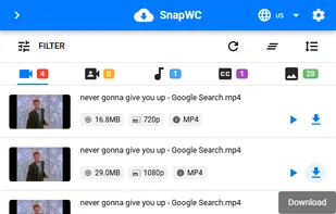 SnapWc browser extension media sniffer test