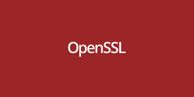 OpenSSL 1.1.1 series reaches End of Life and urges users to upgrade or buy premium support