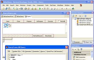 InterBase Data Access Components screenshot 1