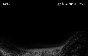 App Widgets on Homescreen