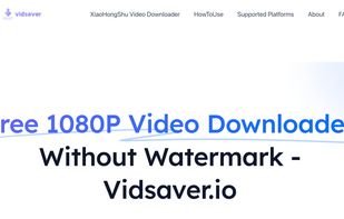 Main Page-1080P Video Downloader 