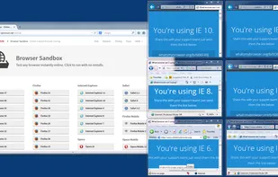 Different versions of Internet Explorer running side-by-side in containers on the same machine, streamed directly from Turbo.net.

Containers allow developers, testers, and users to run multiple application versions side-by-side, even beta versions.