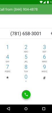Grasshopper Virtual Phone screenshot 1