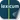 Lexicum icon