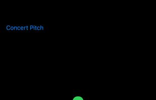 Zen Tuner screenshot 3