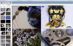 DinoCapture screenshot 1