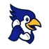CallBird icon