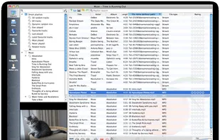 Smart playlists and kittens