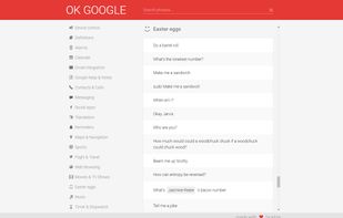OK-Google.io screenshot 1